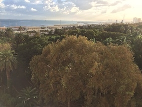 jardin d'essai.jpg
